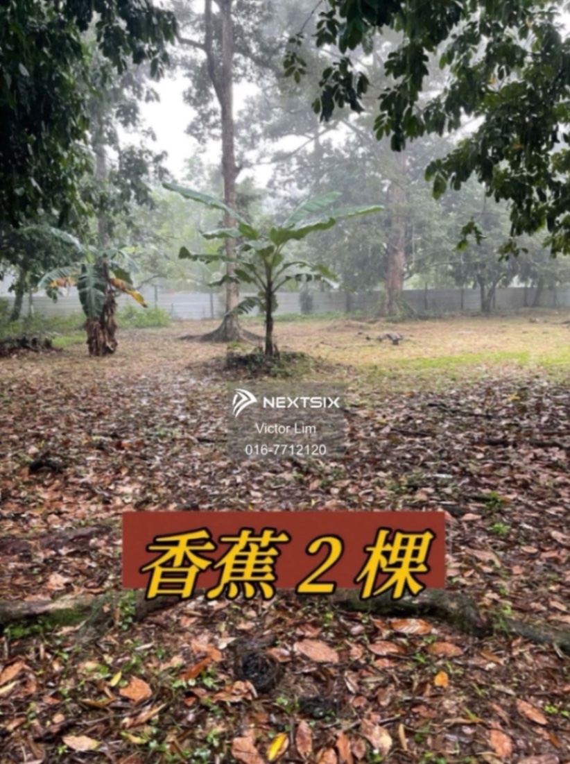 Agricultural Land For Sale in Pontian Johor - Image 9