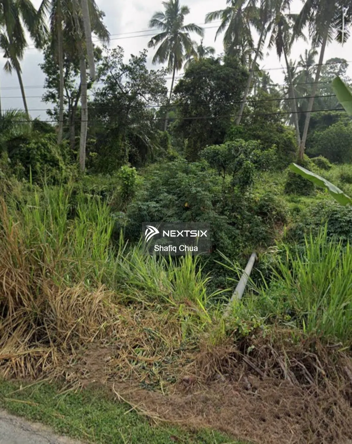 Agricultural Land For Rent in Kuala Selangor Selangor - Image 5