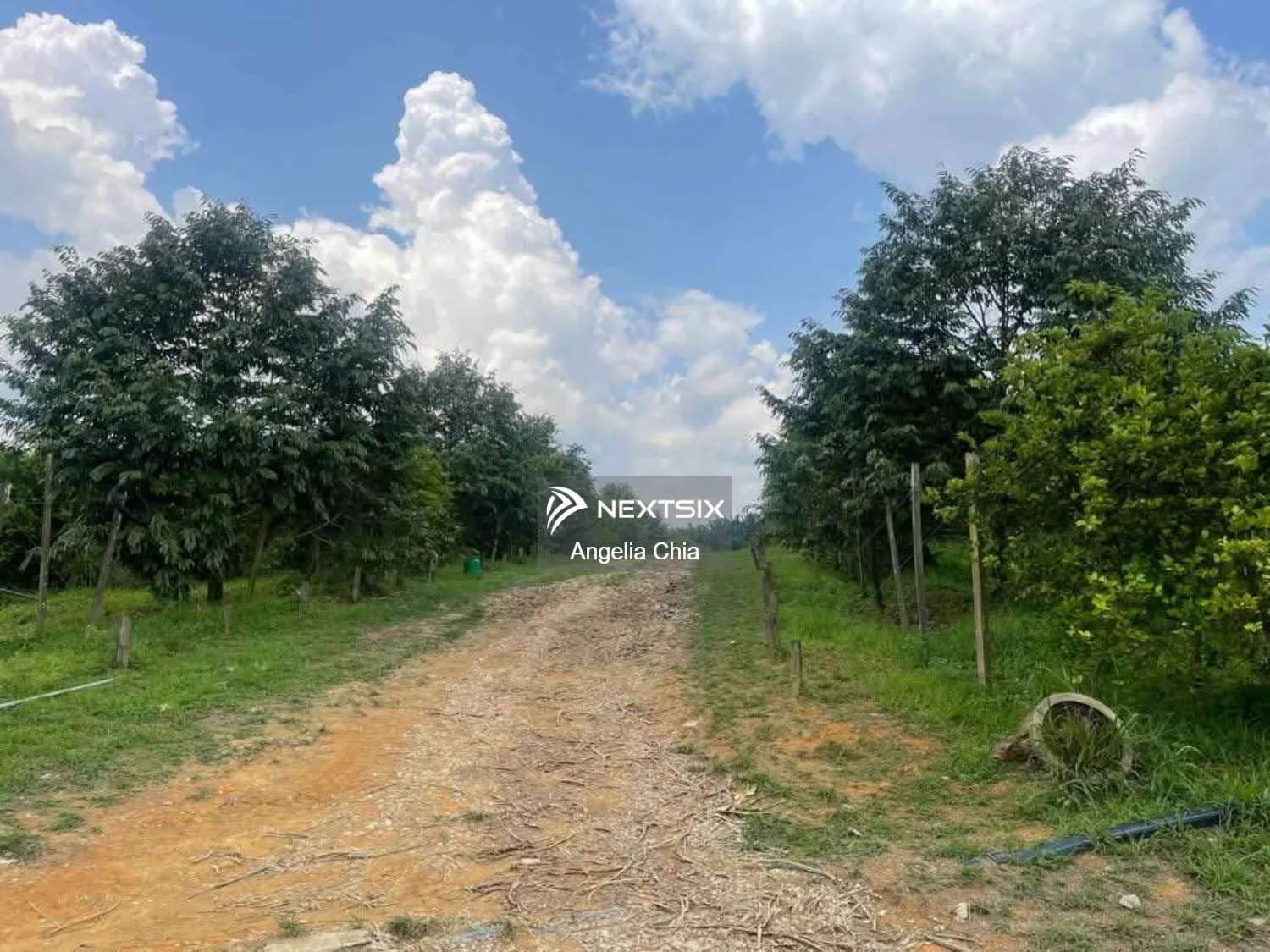 Agricultural Land For Sale in Johor Bahru Johor