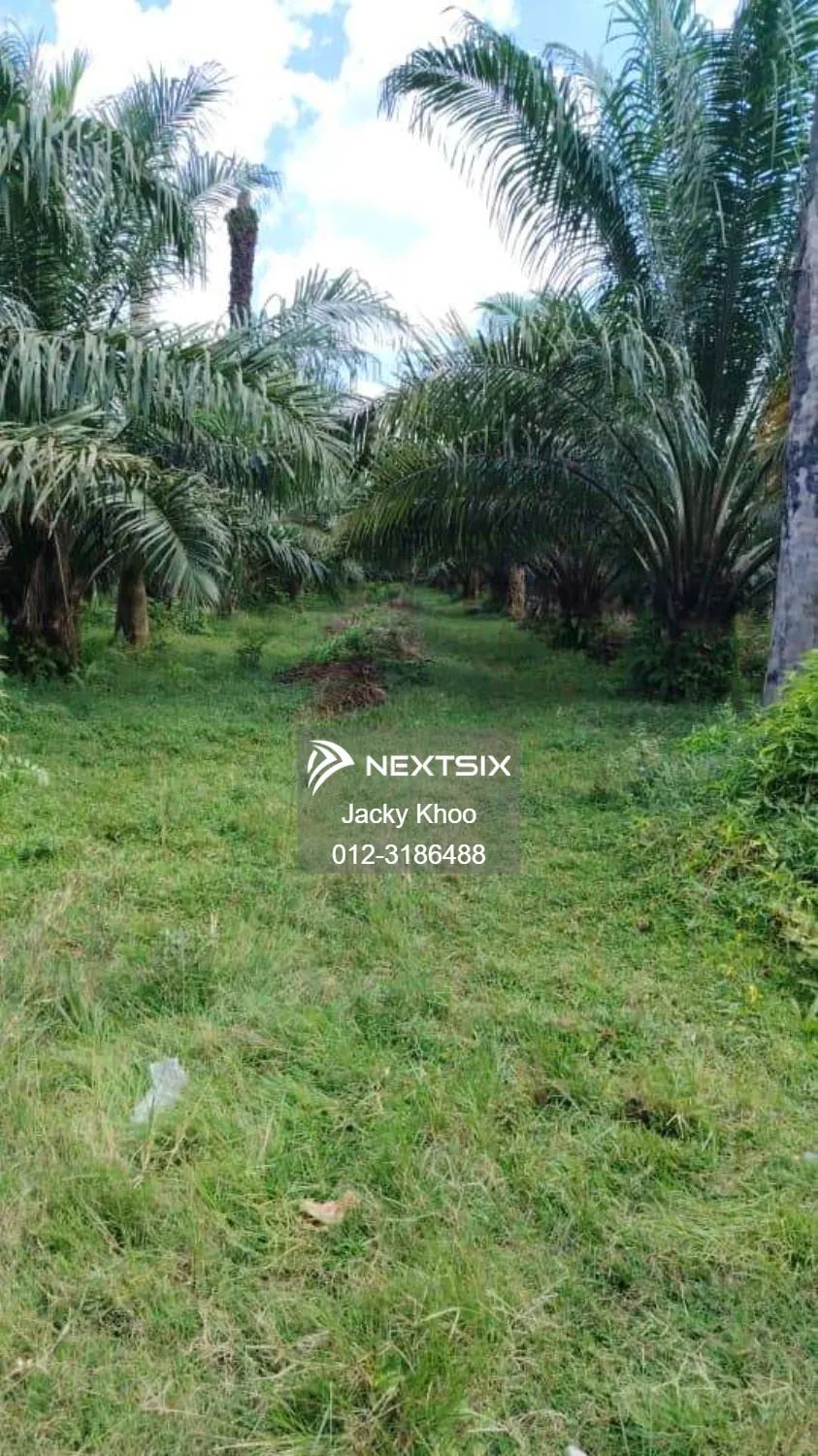 Agricultural Land For Sale in Banting Selangor - Image 5