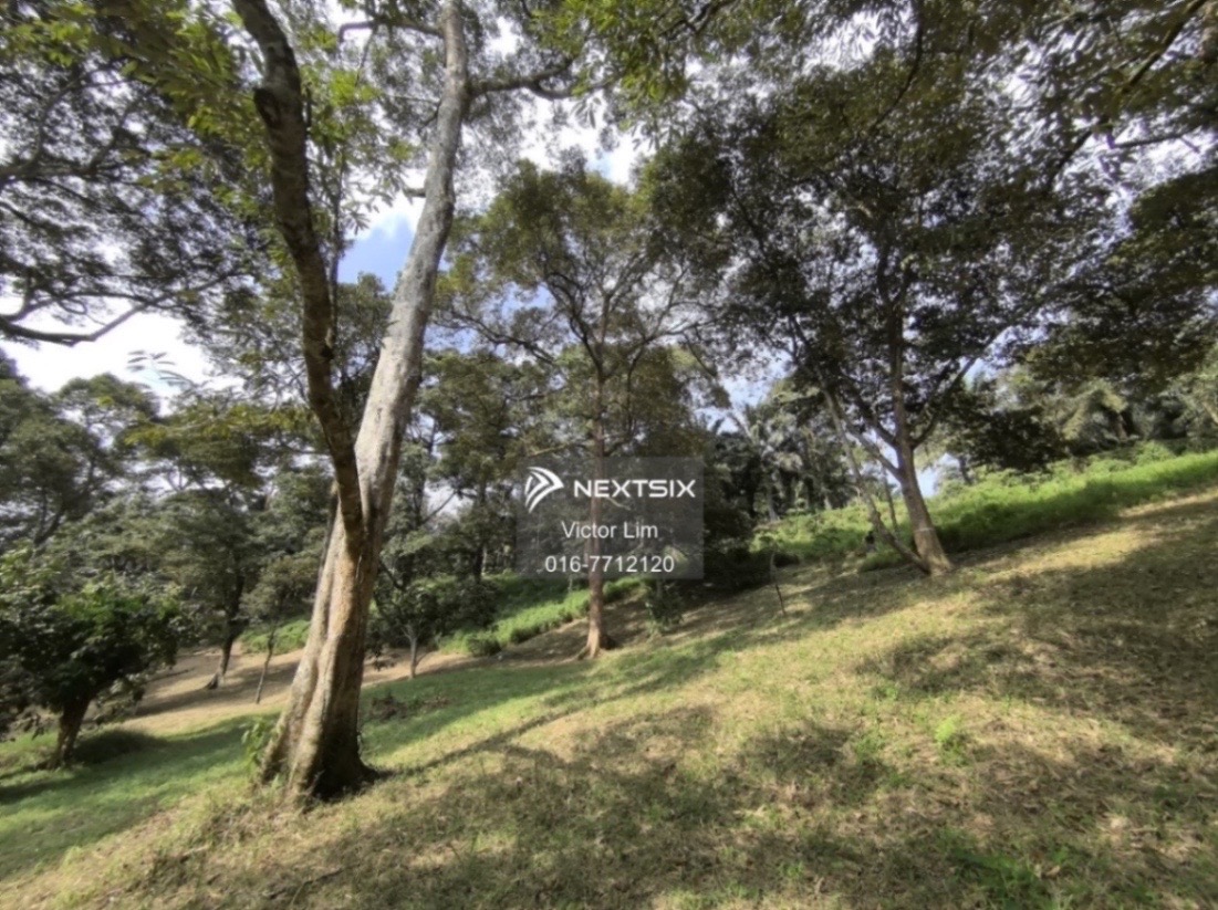 Agricultural Land For Sale in Kota Tinggi Johor