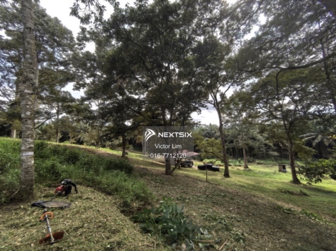 Agricultural Land For Sale in Kota Tinggi Johor - Image 12