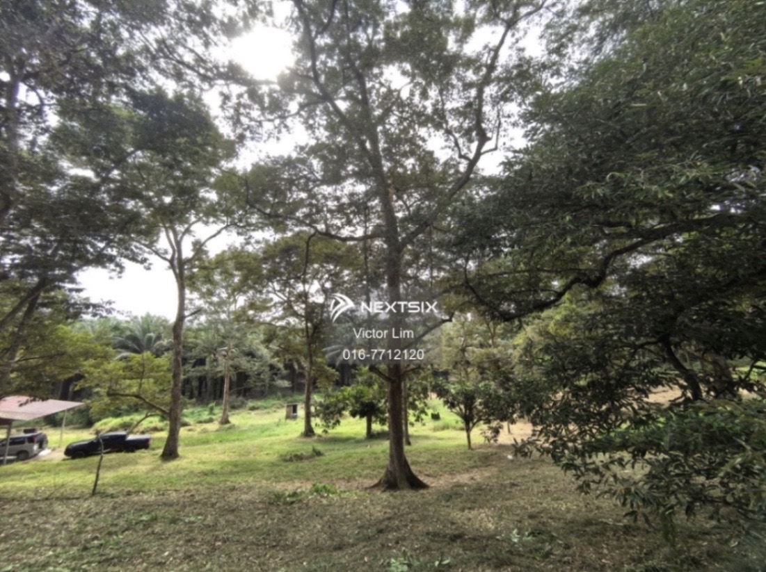Agricultural Land For Sale in Kota Tinggi Johor - Image 13