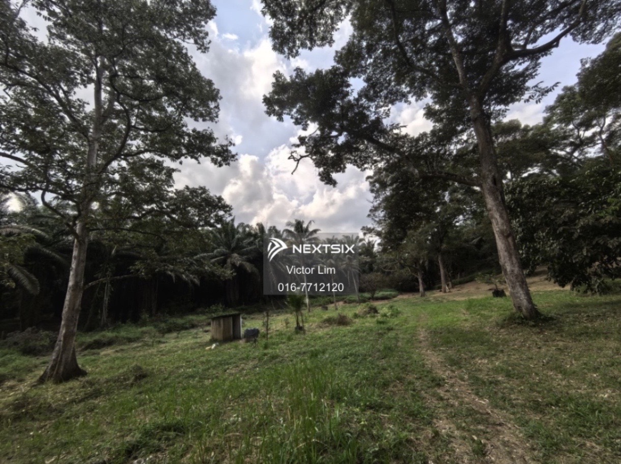 Agricultural Land For Sale in Kota Tinggi Johor - Image 14