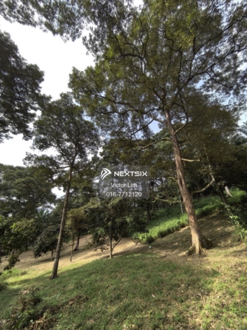 Agricultural Land For Sale in Kota Tinggi Johor - Image 15