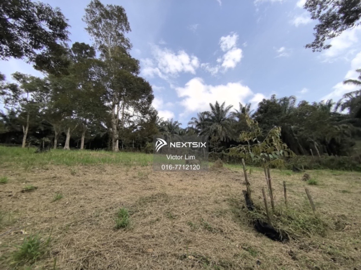 Agricultural Land For Sale in Kota Tinggi Johor - Image 6