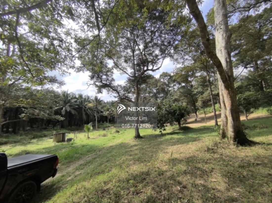 Agricultural Land For Sale in Kota Tinggi Johor - Image 7