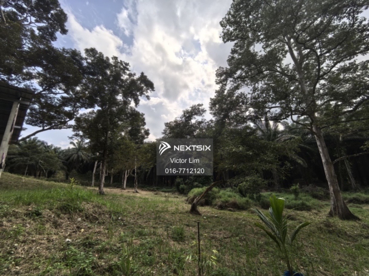 Agricultural Land For Sale in Kota Tinggi Johor - Image 8