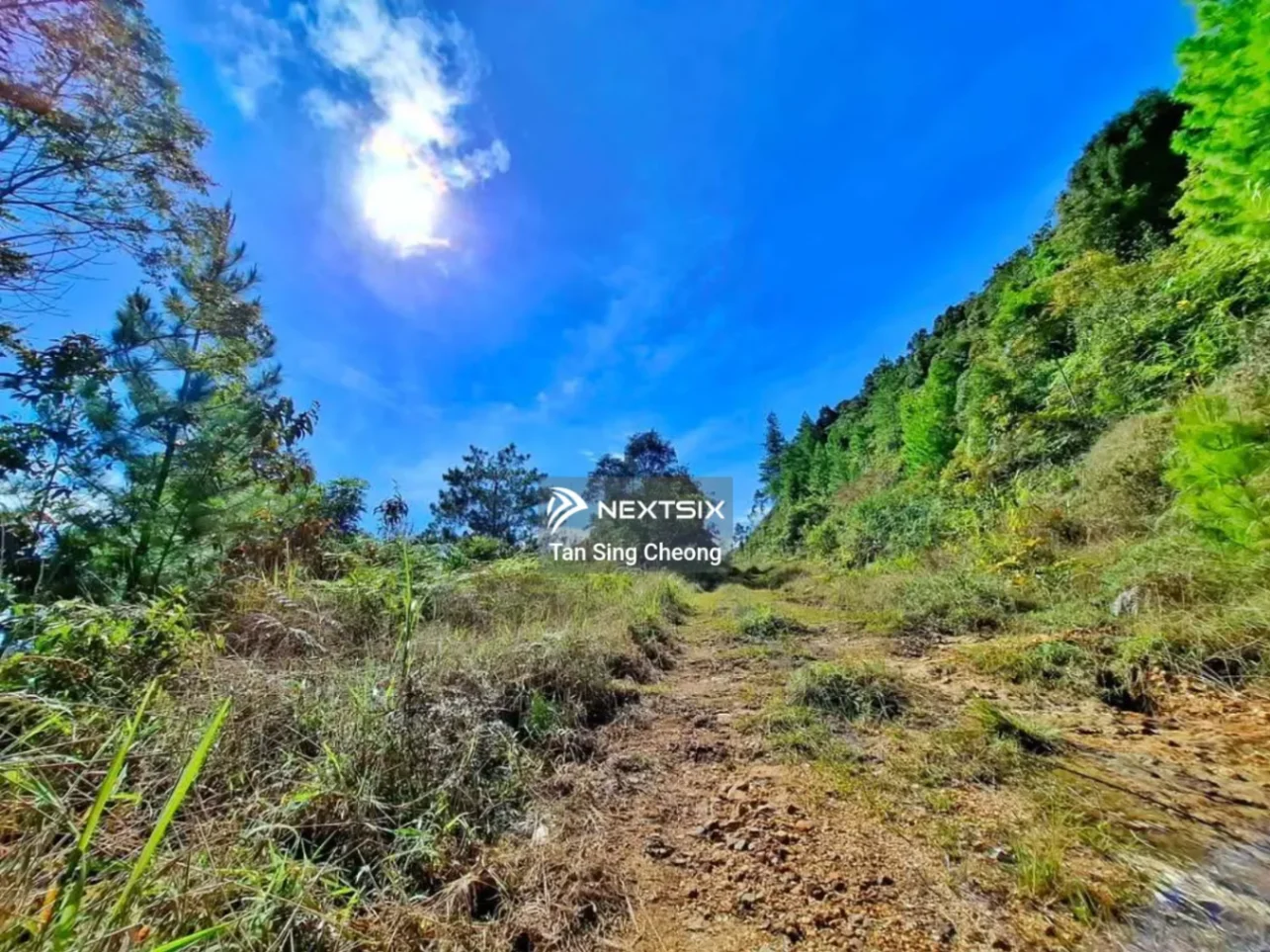 Agricultural Land For Sale in Ranau Sabah - Image 5