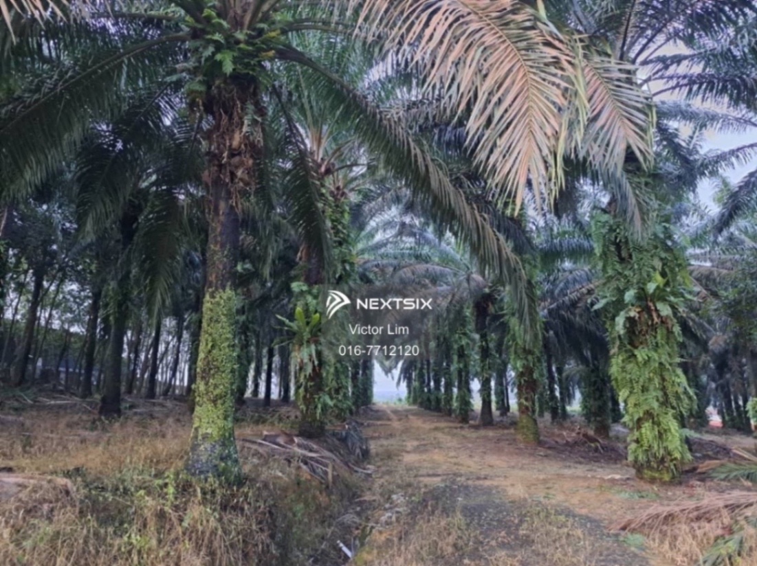 Agricultural Land For Sale in Ulu Tiram Johor - Image 5