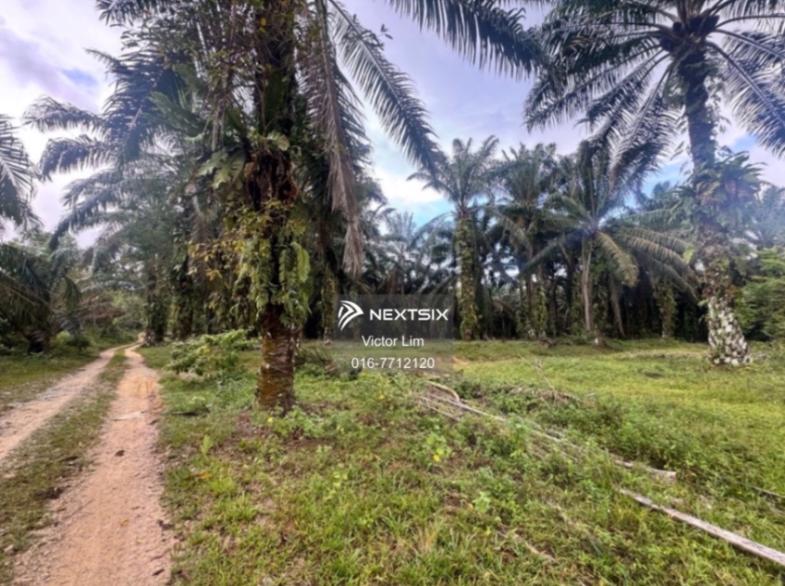 Agricultural Land For Sale in Ulu Tiram Johor