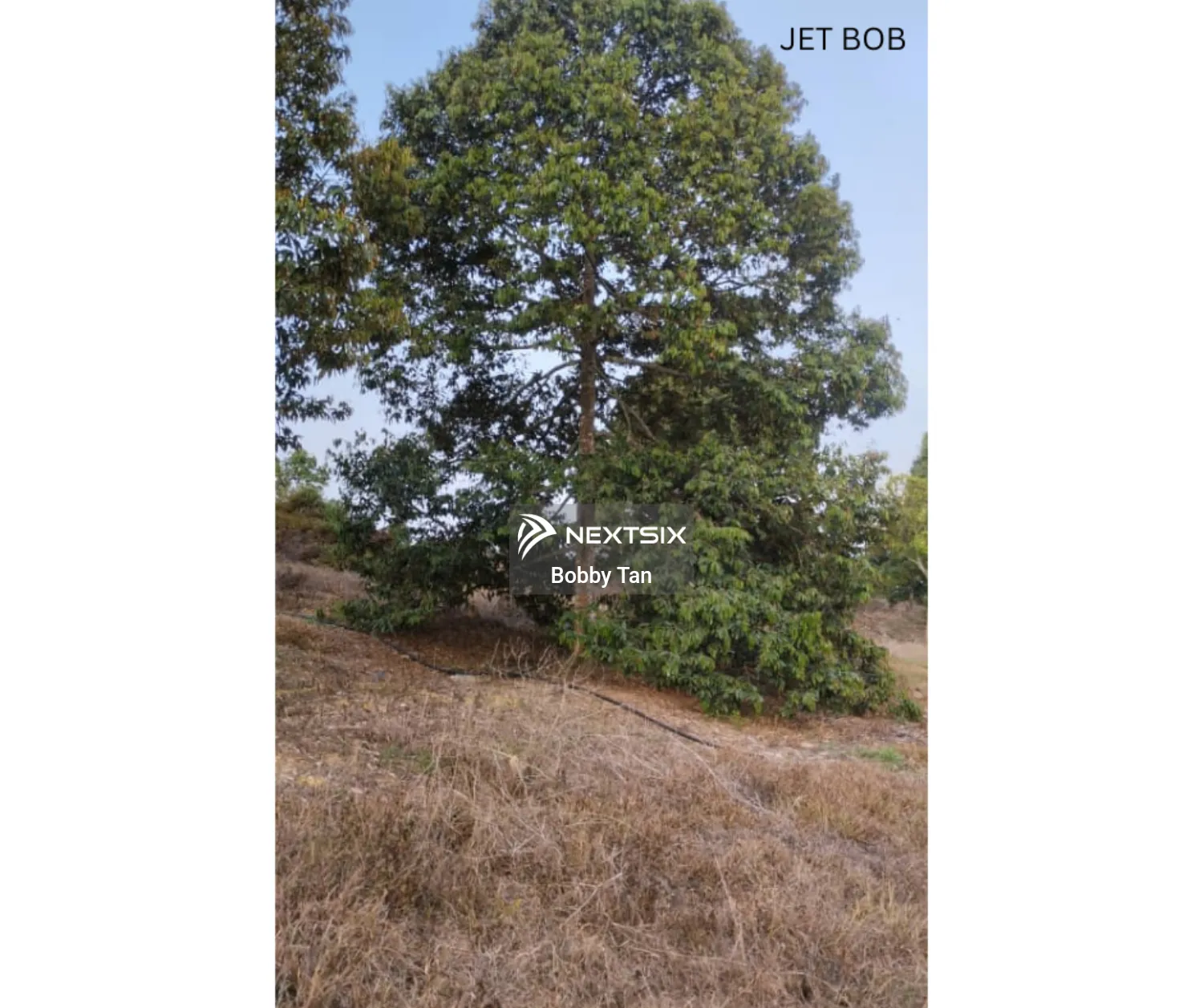 Agricultural Land For Sale in Simpang Pertang Negeri Sembilan - Image 10