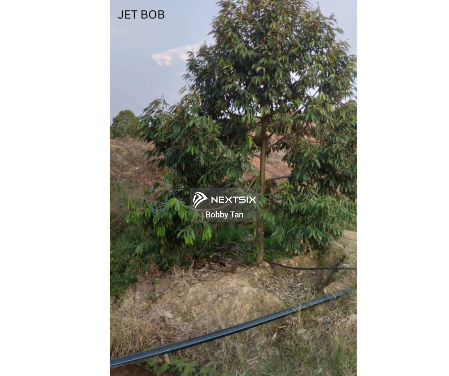 Agricultural Land For Sale in Simpang Pertang Negeri Sembilan - Image 11