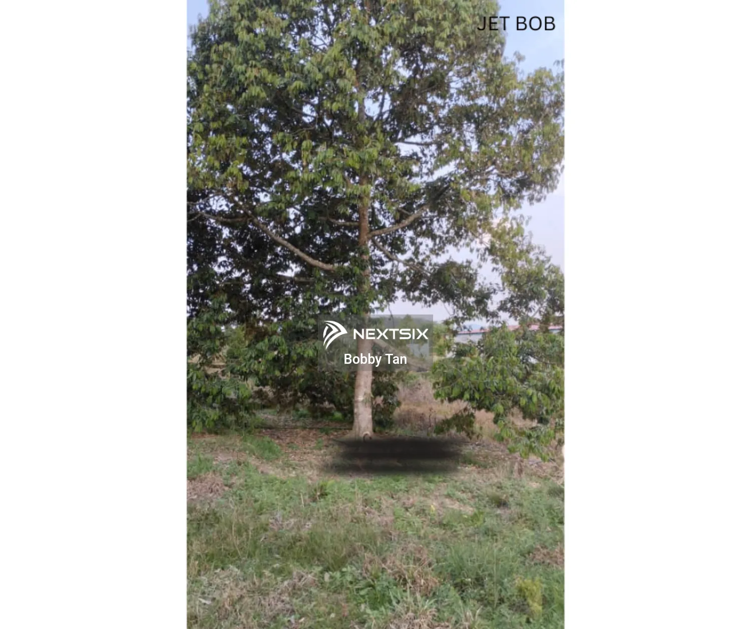 Agricultural Land For Sale in Simpang Pertang Negeri Sembilan - Image 12