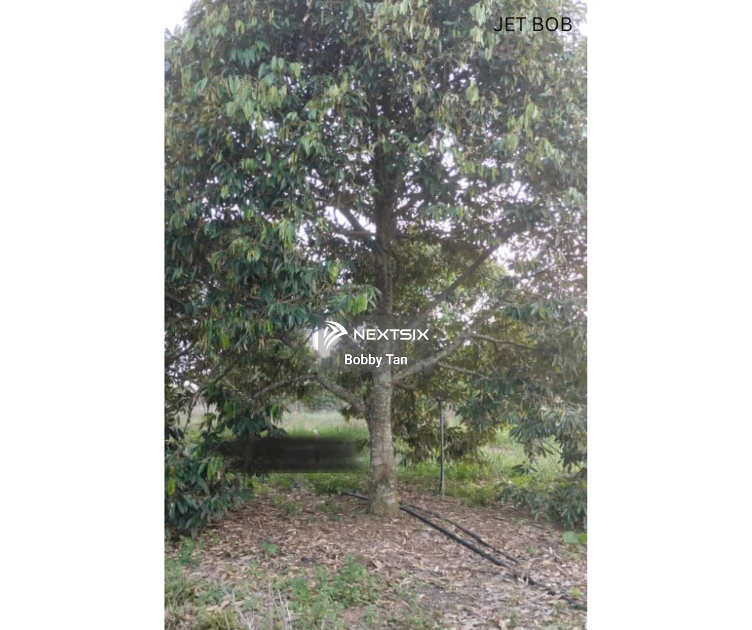 Agricultural Land For Sale in Simpang Pertang Negeri Sembilan - Image 13