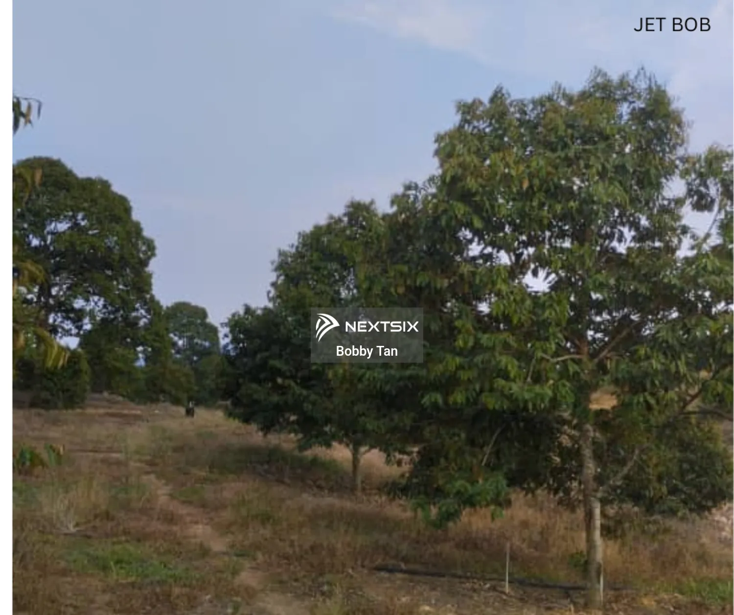 Agricultural Land For Sale in Simpang Pertang Negeri Sembilan - Image 7