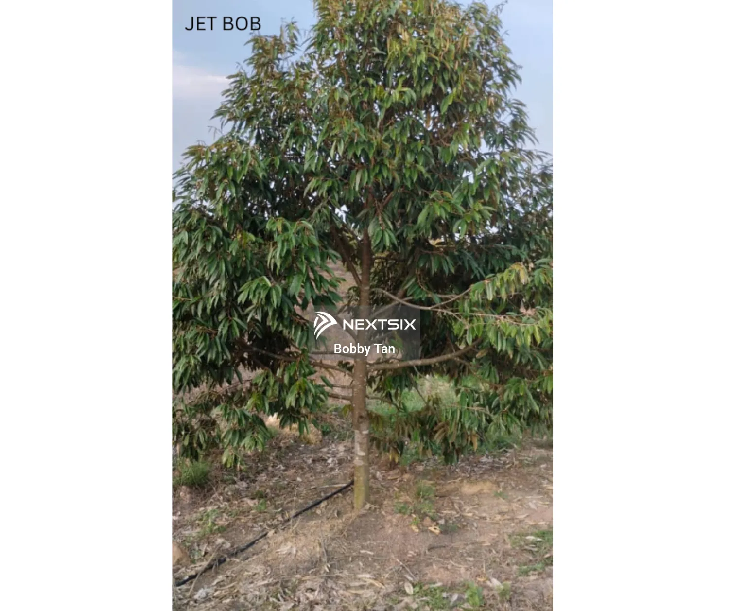 Agricultural Land For Sale in Simpang Pertang Negeri Sembilan - Image 9