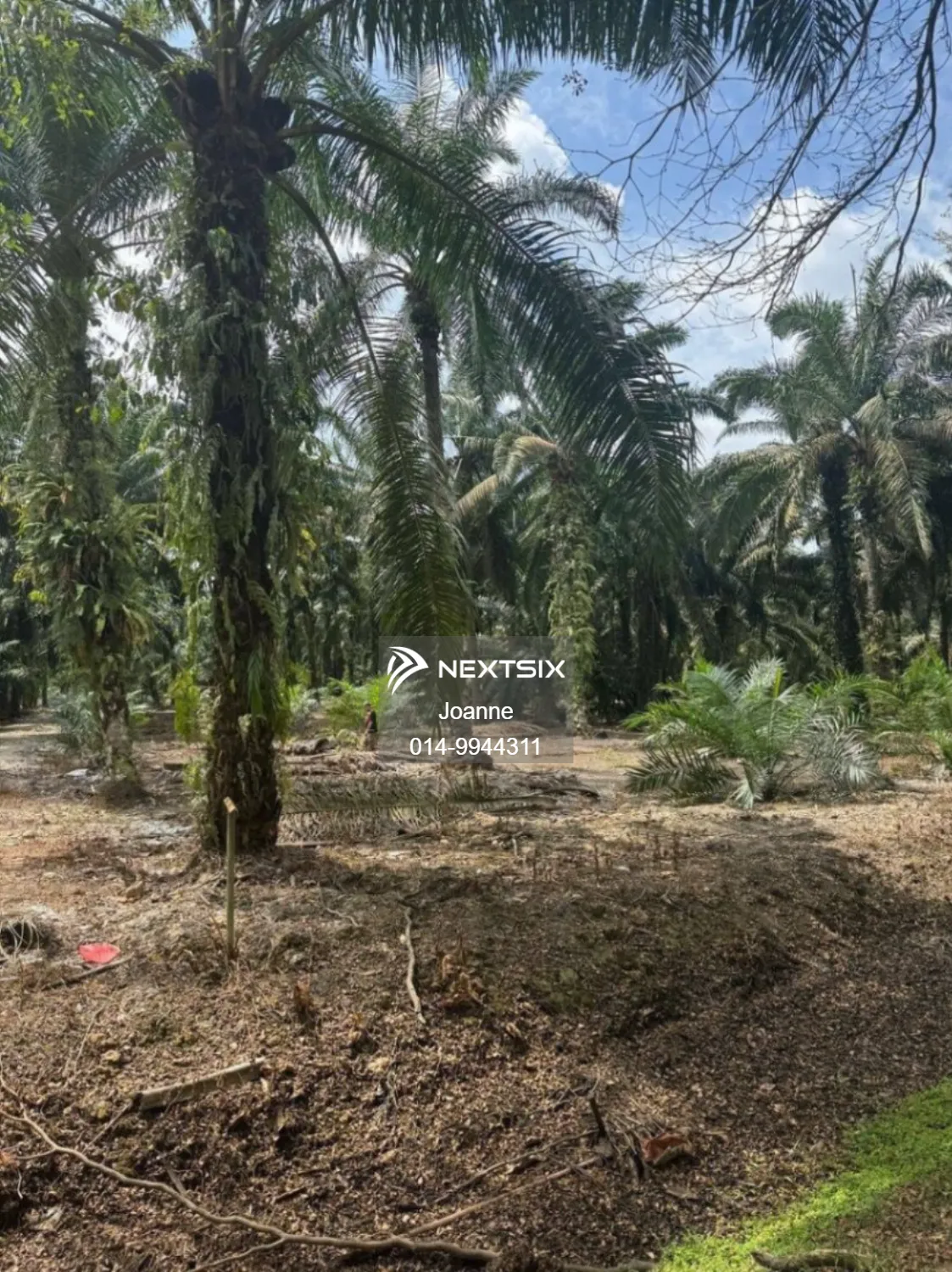 Industrial Land For Sale in Pontian Johor