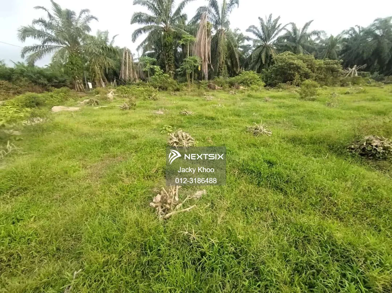 Agricultural Land For Sale in Banting Selangor - Image 5