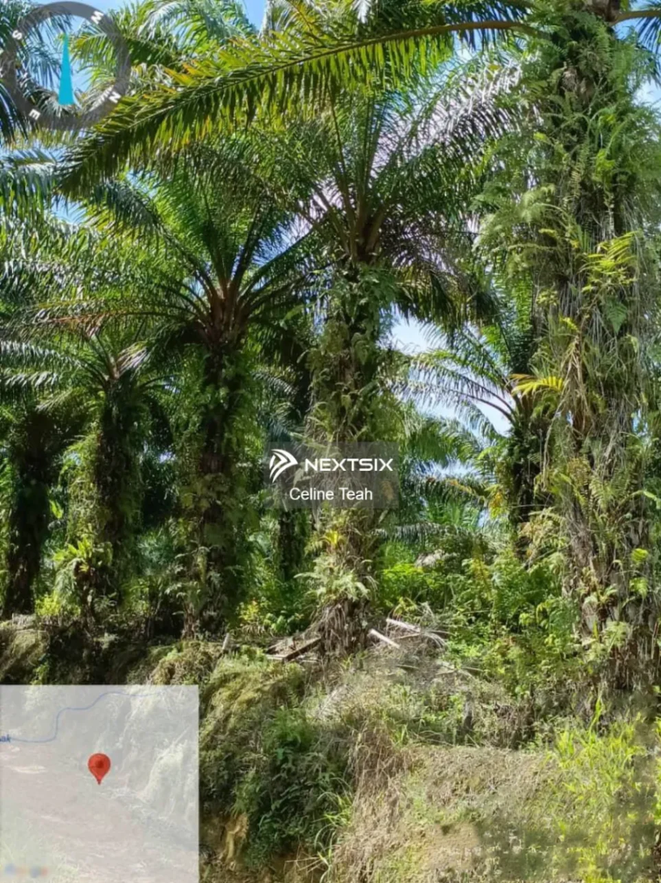 Agricultural Land For Sale in Ranau Sabah - Image 10