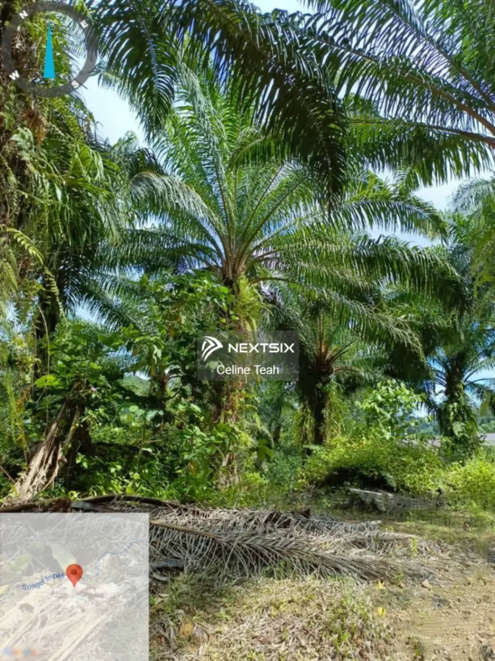 Agricultural Land For Sale in Ranau Sabah - Image 11