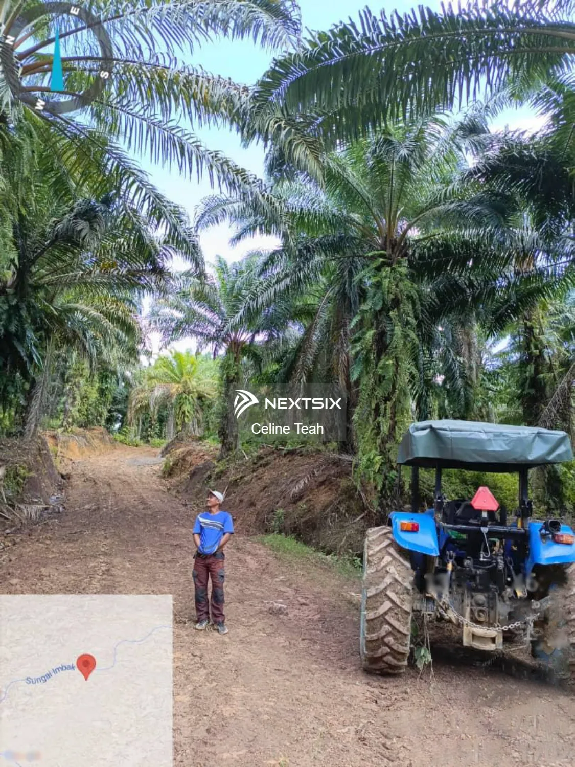 Agricultural Land For Sale in Ranau Sabah - Image 13