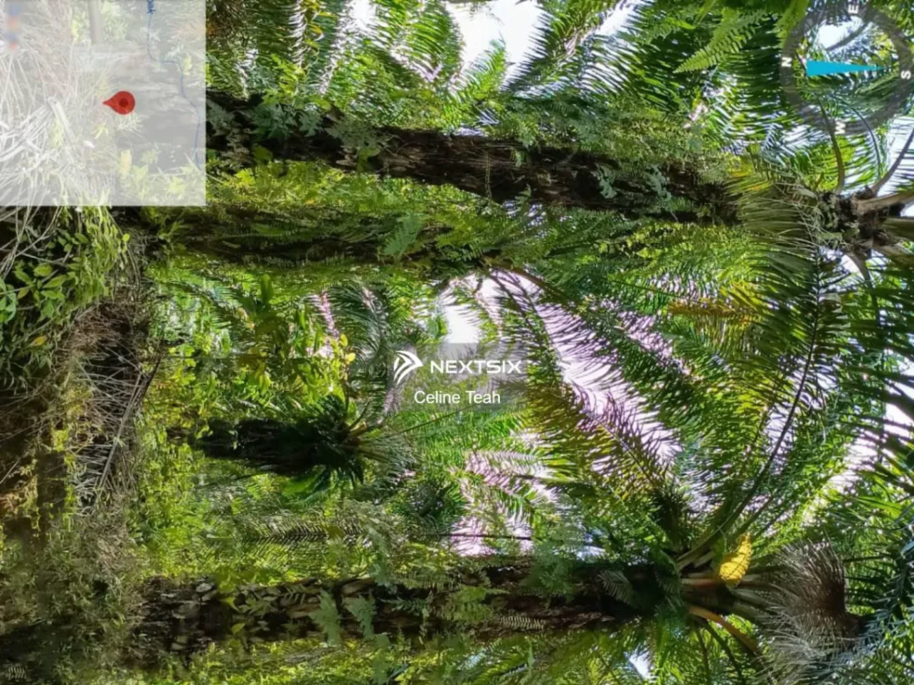 Agricultural Land For Sale in Ranau Sabah - Image 7