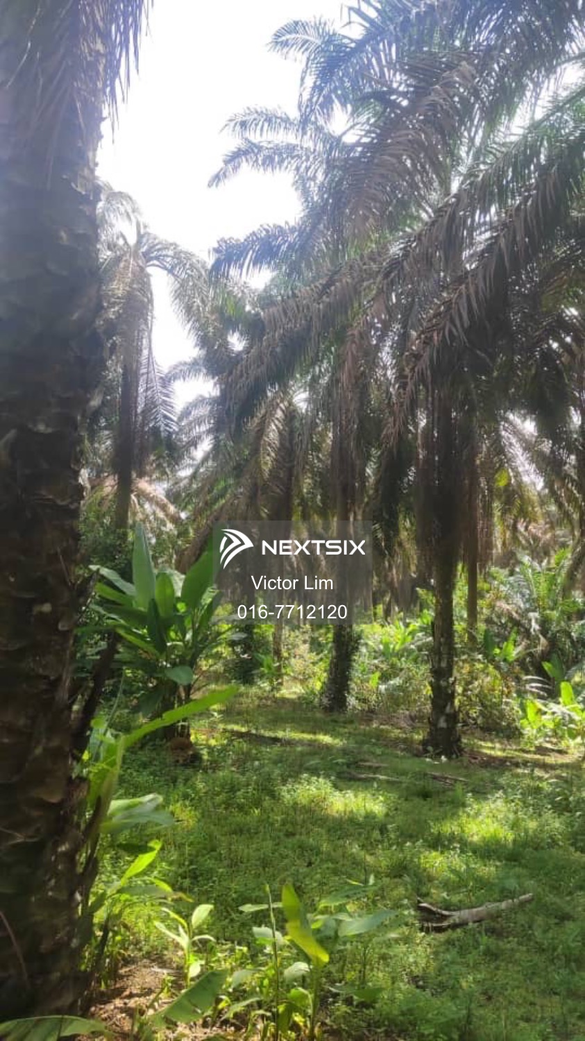 Agricultural Land For Sale in Kulai Johor