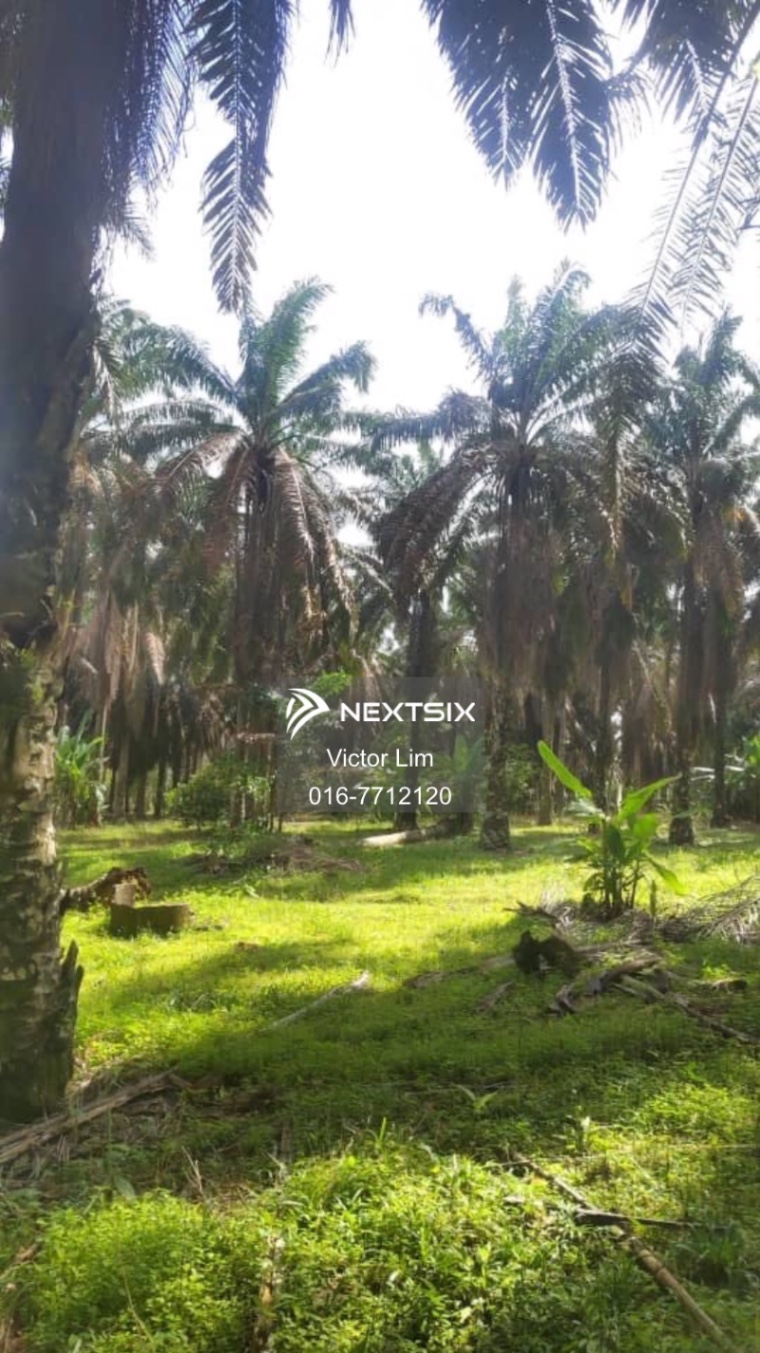Agricultural Land For Sale in Kulai Johor - Image 5