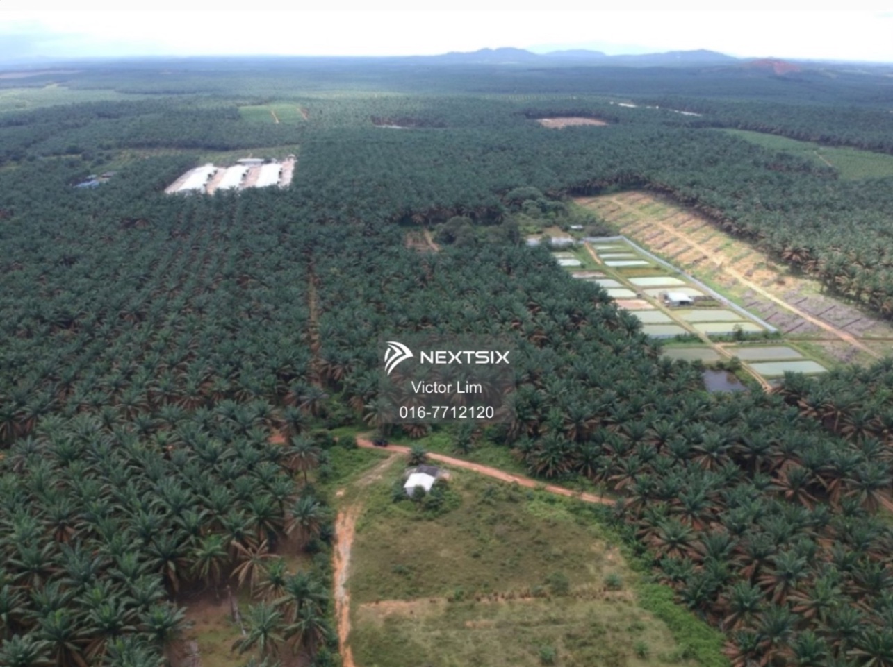 Agricultural Land For Sale in Kluang Johor