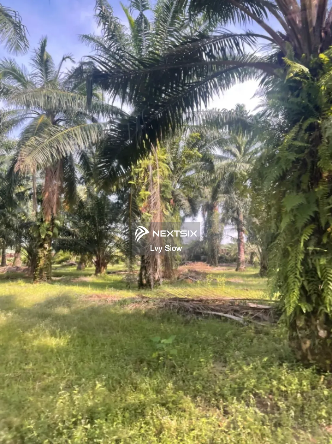 Industrial Land For Sale in Jenjarom Selangor
