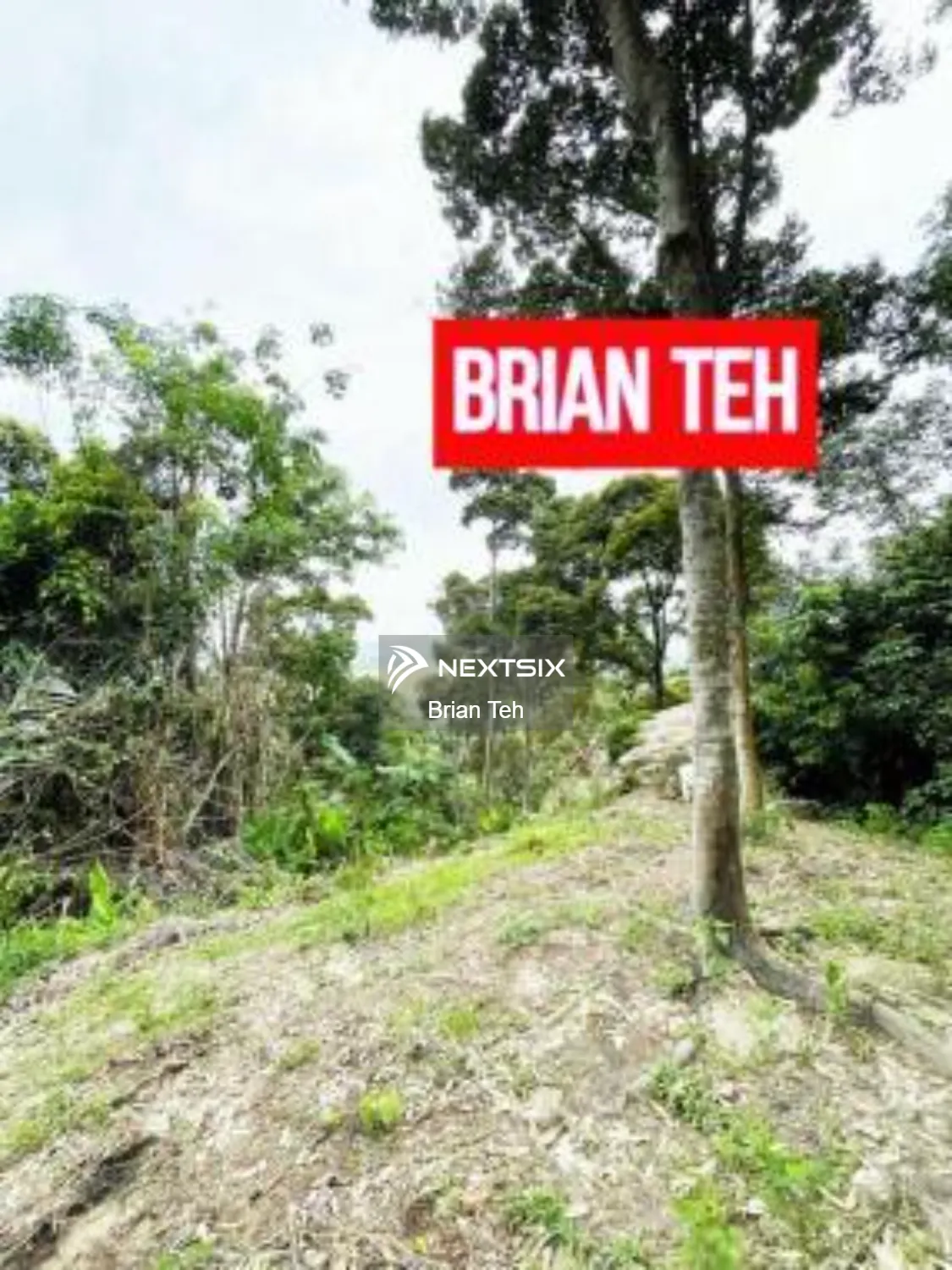 Agricultural Land For Sale in Balik Pulau Penang