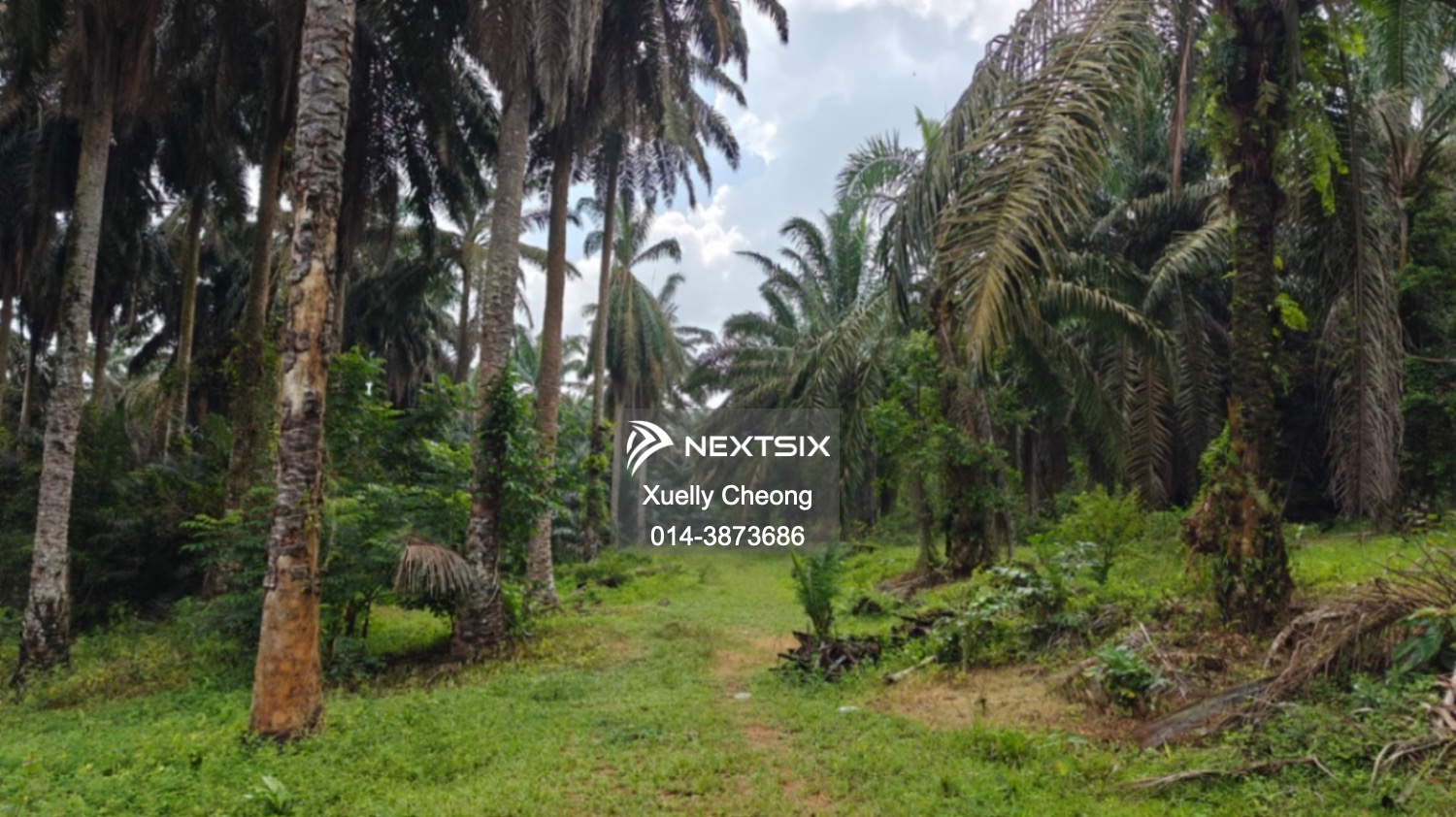 Agricultural Land For Sale in Kluang Johor