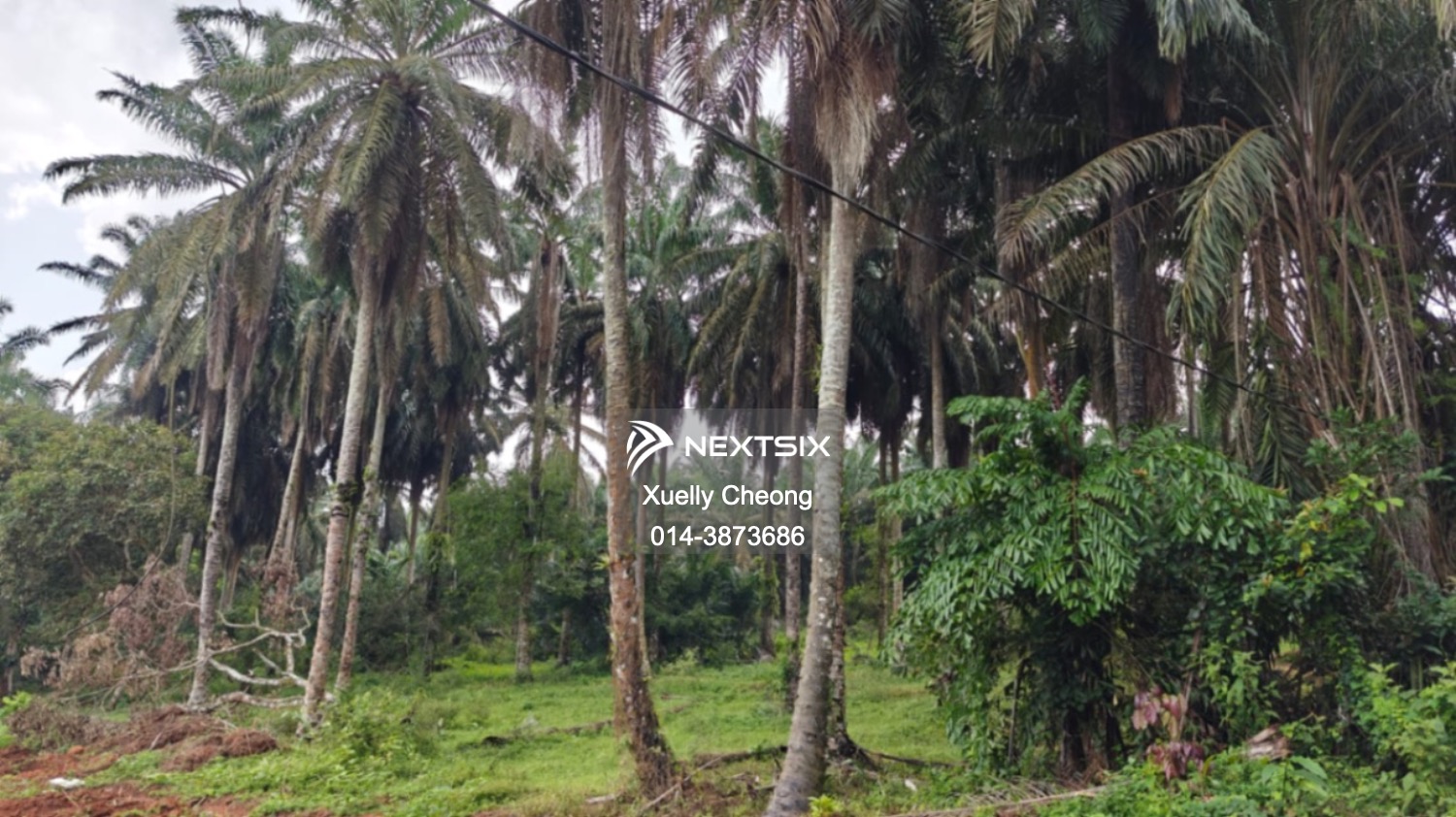 Agricultural Land For Sale in Kluang Johor - Image 5