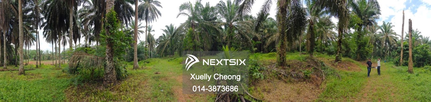 Agricultural Land For Sale in Kluang Johor - Image 7