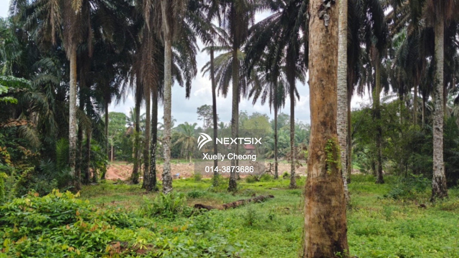 Agricultural Land For Sale in Kluang Johor - Image 8