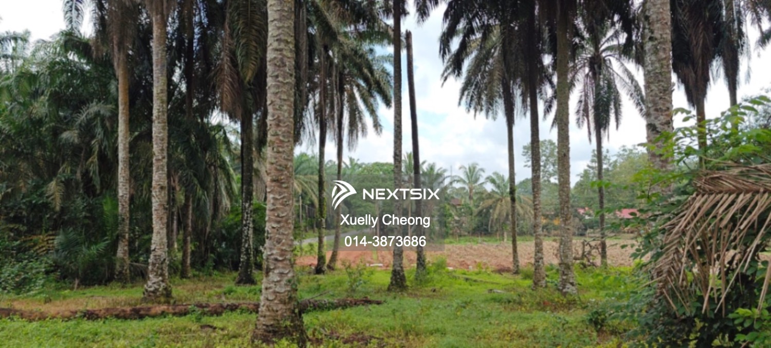 Agricultural Land For Sale in Kluang Johor - Image 9