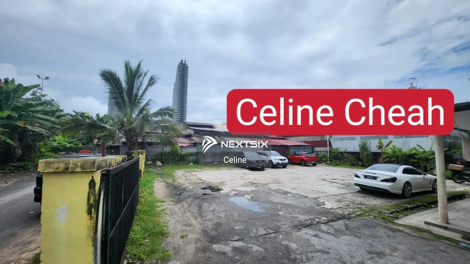 Jelutong land