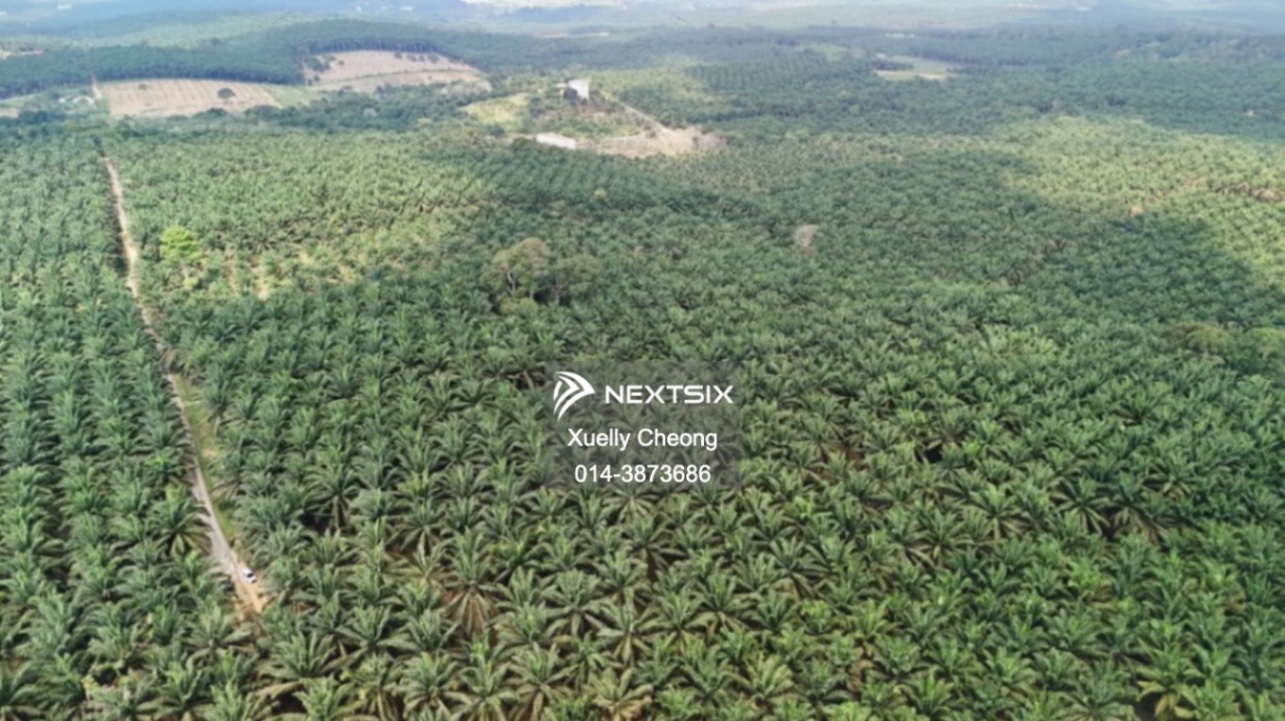 Agricultural Land For Sale in Kota Tinggi Johor - Image 7