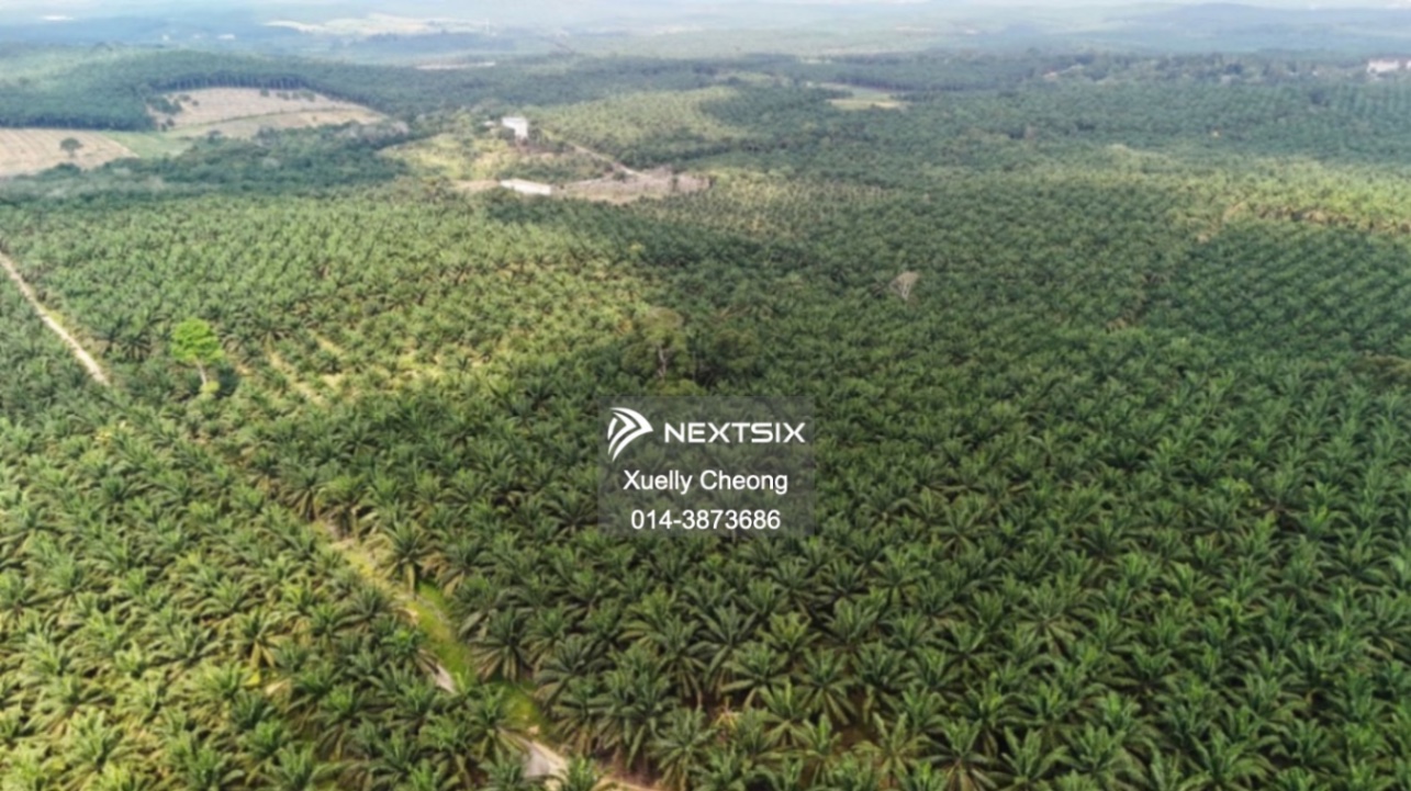 Agricultural Land For Sale in Kota Tinggi Johor - Image 8