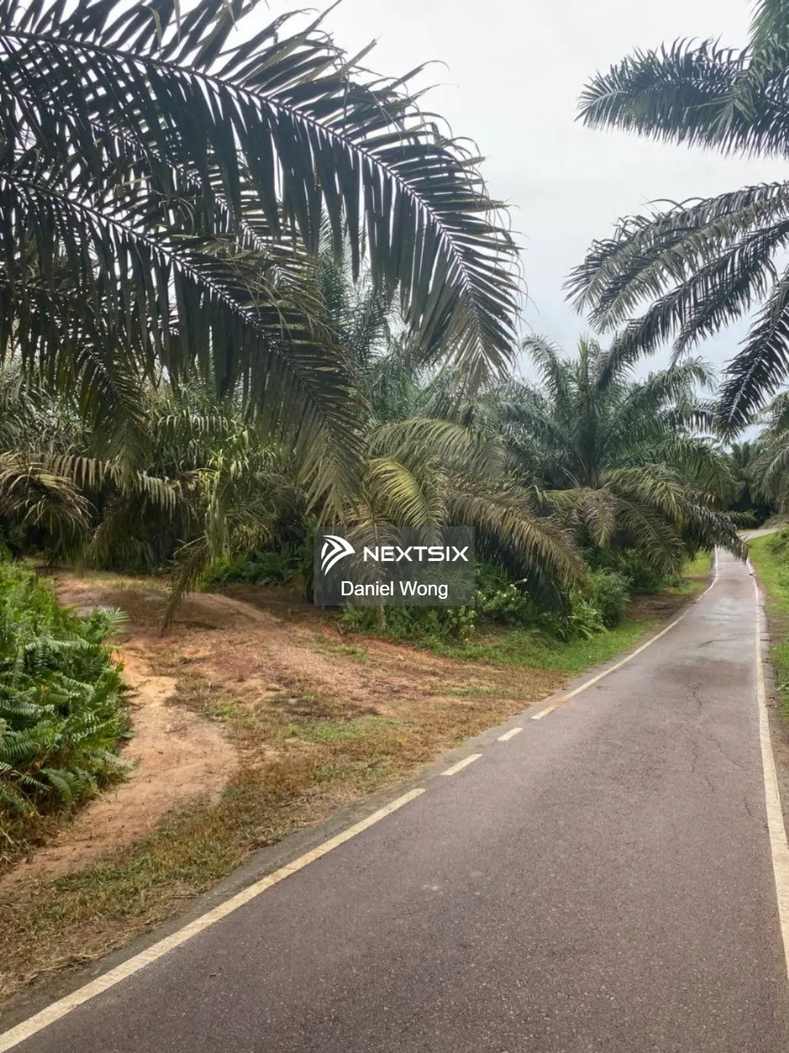 Agricultural Land For Sale in Kluang Johor - Image 7