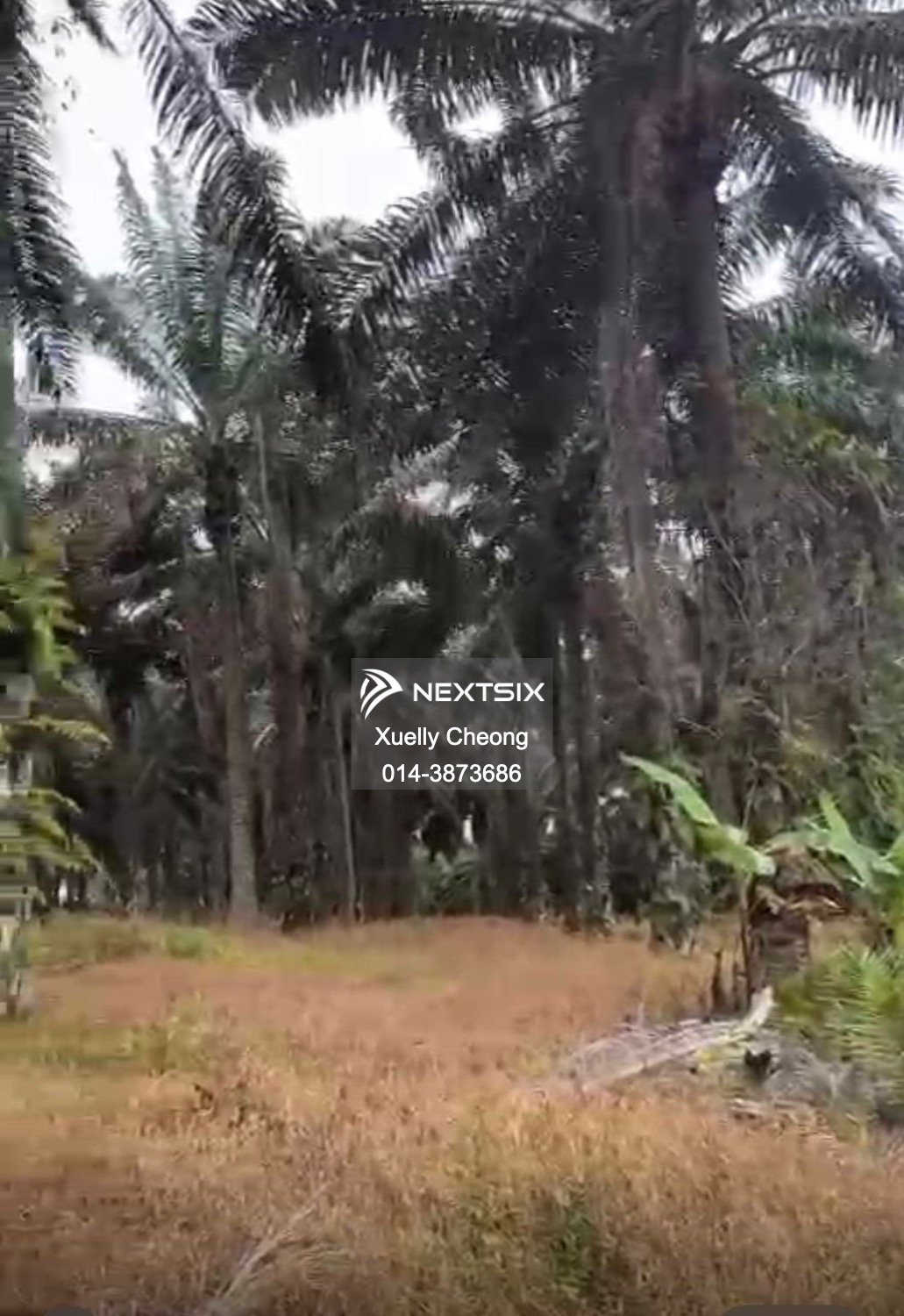 Agricultural Land For Sale in Kulai Johor
