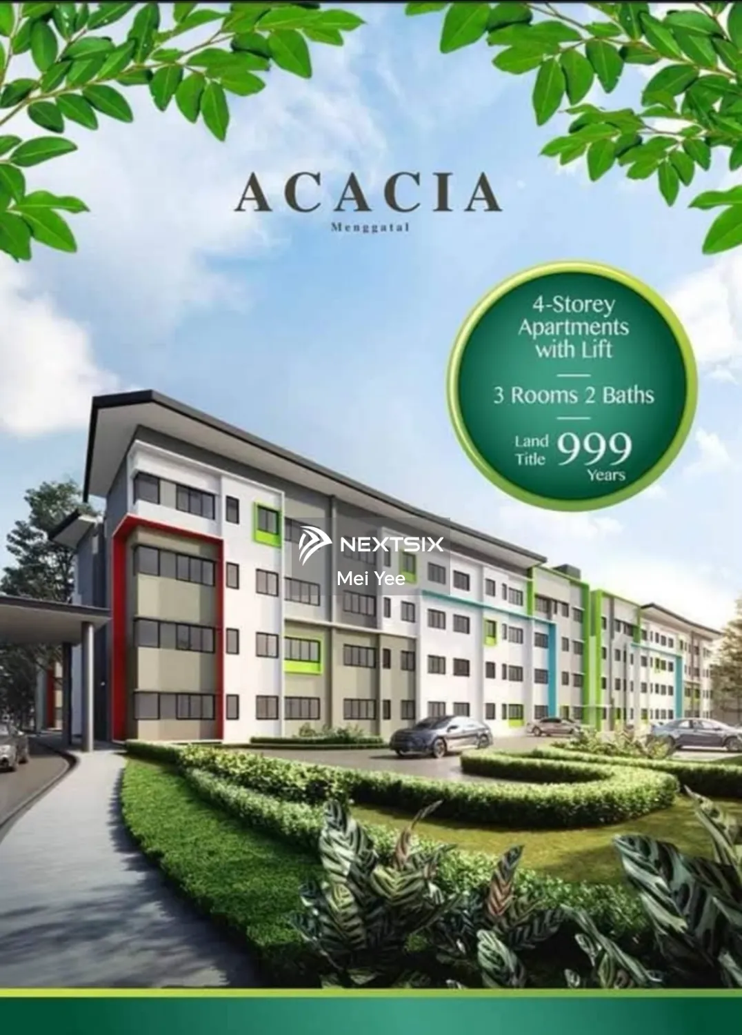 Acacia