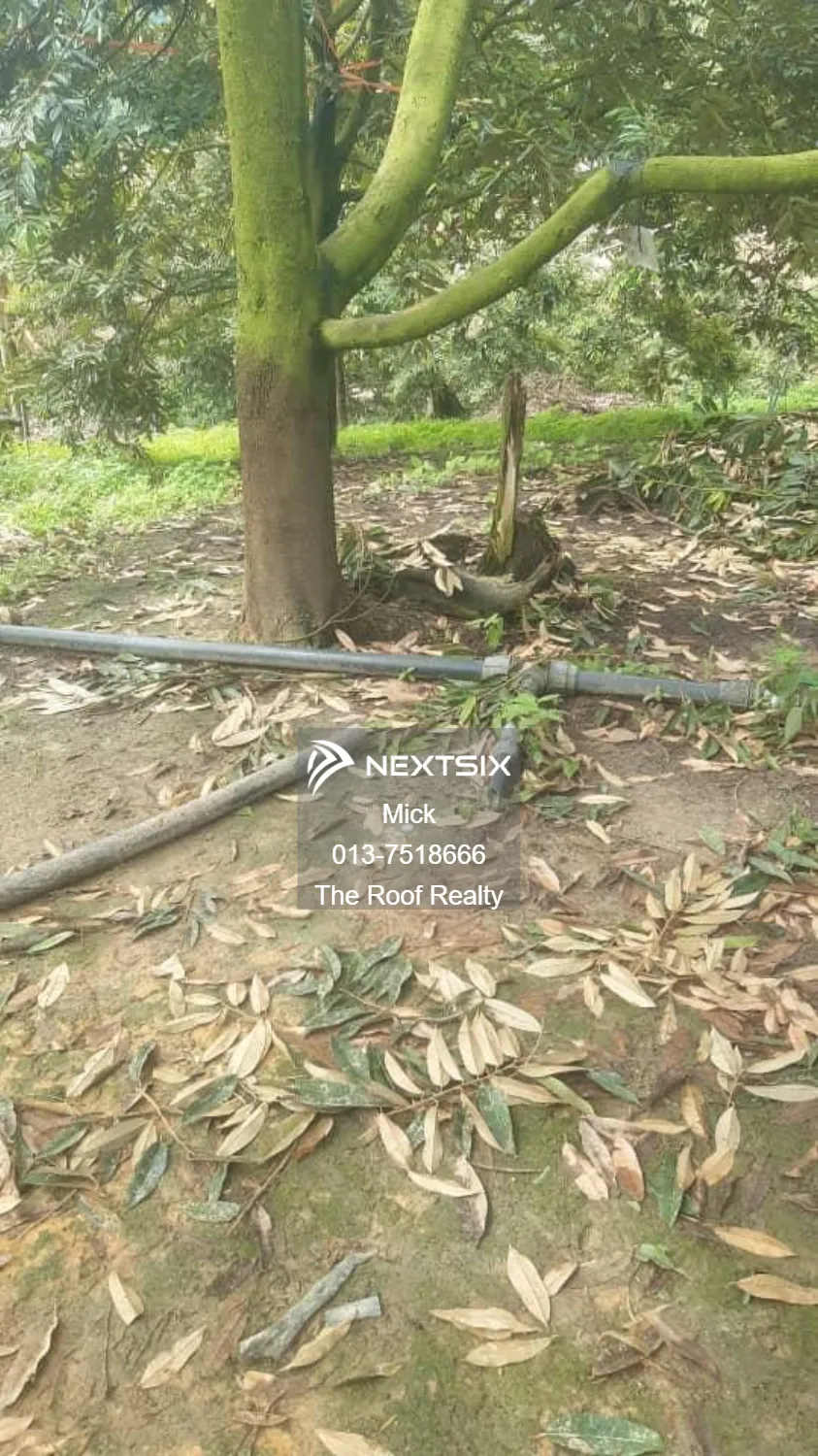 Agricultural Land For Sale in Karak Pahang - Image 6