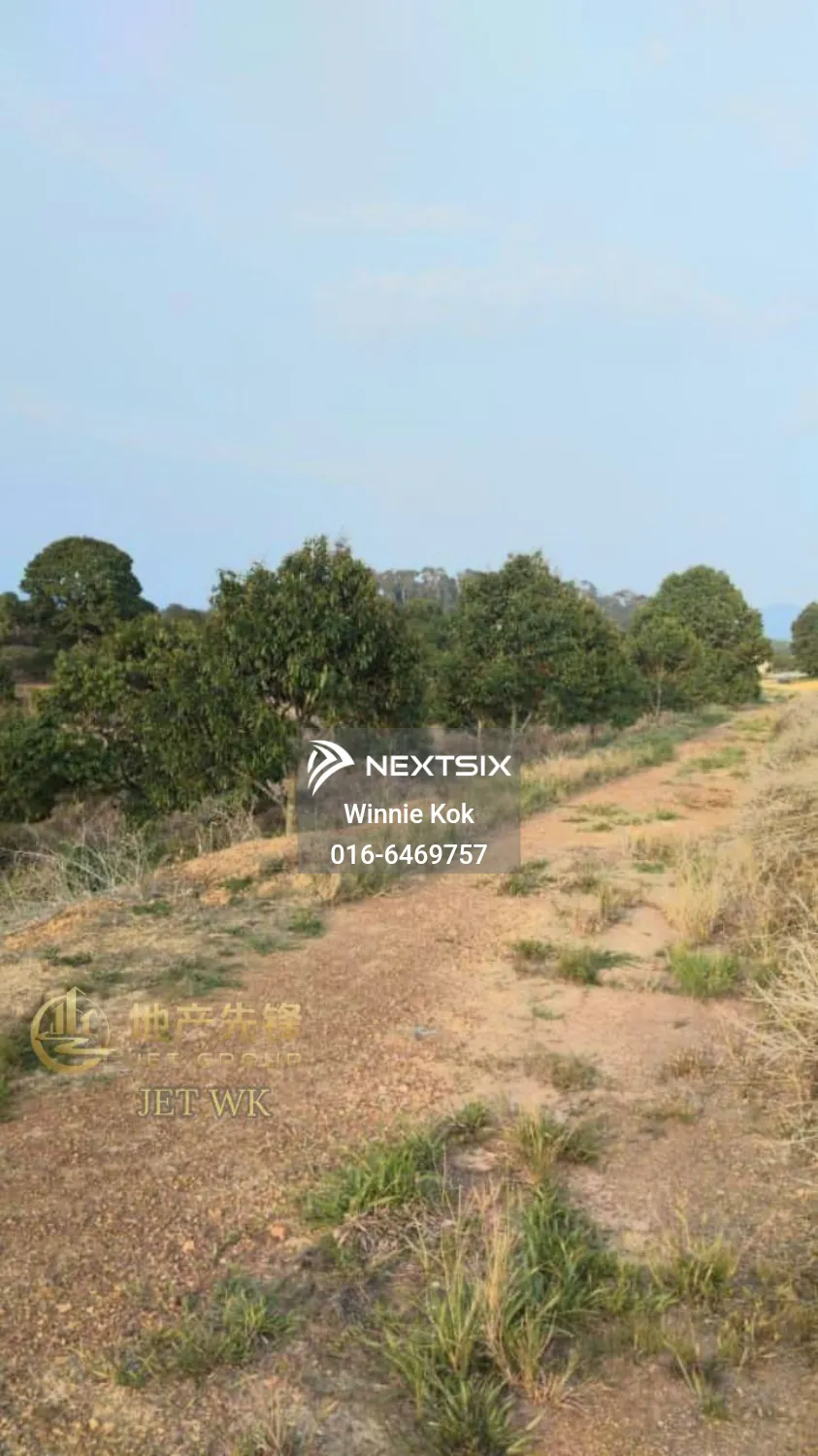 Agricultural Land For Sale in Simpang Pertang Negeri Sembilan