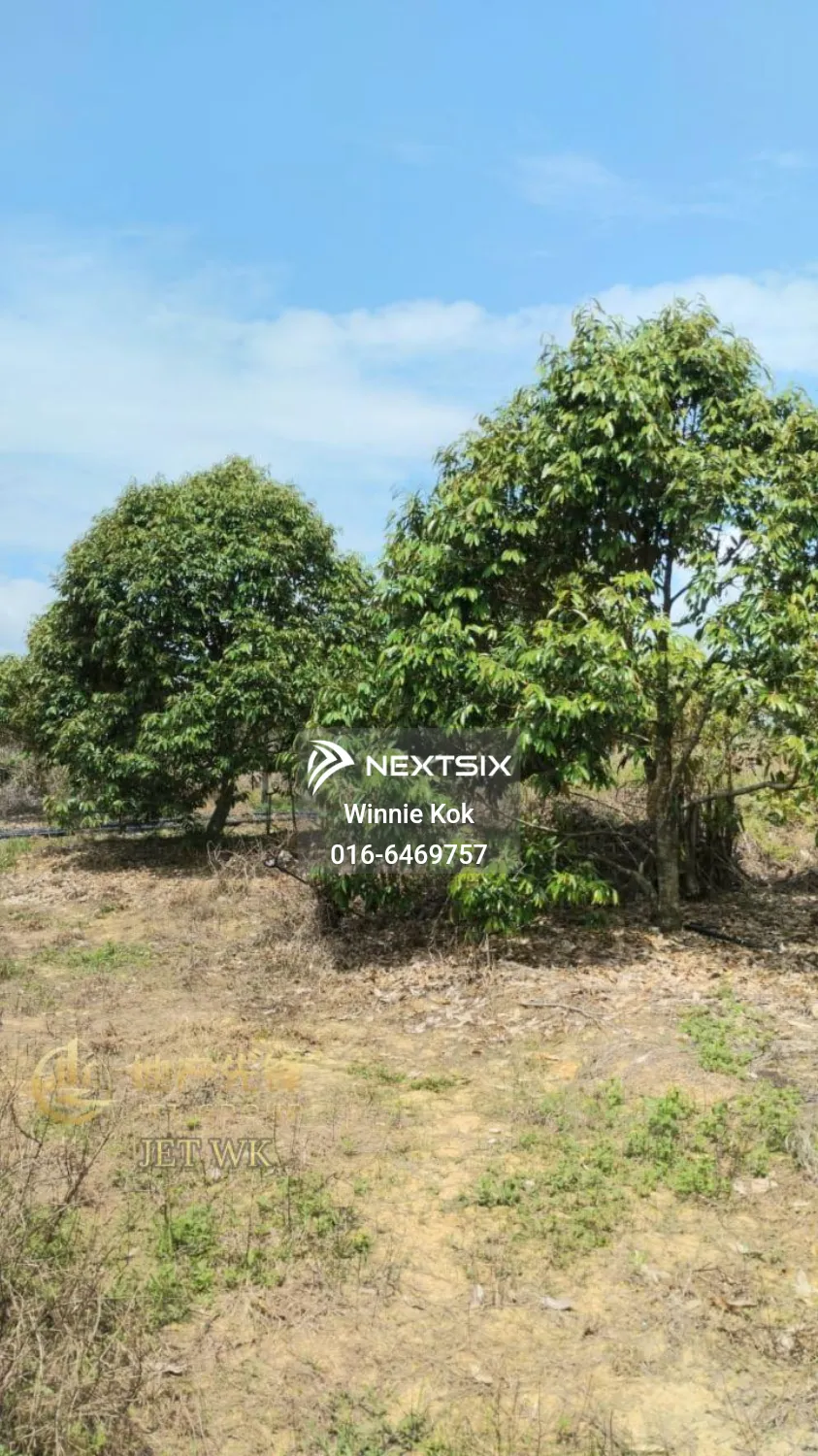 Agricultural Land For Sale in Simpang Pertang Negeri Sembilan - Image 5