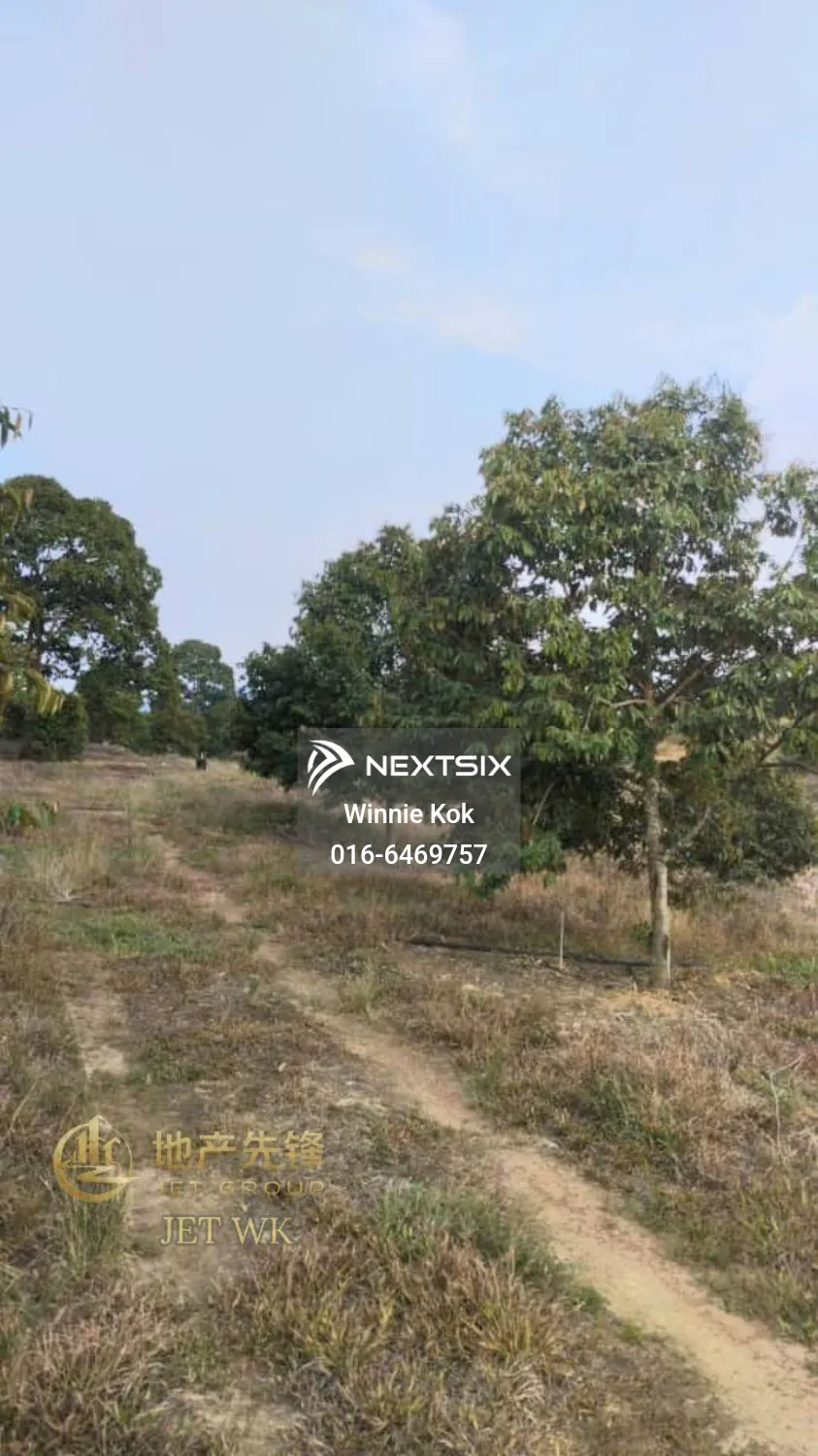 Agricultural Land For Sale in Simpang Pertang Negeri Sembilan - Image 6