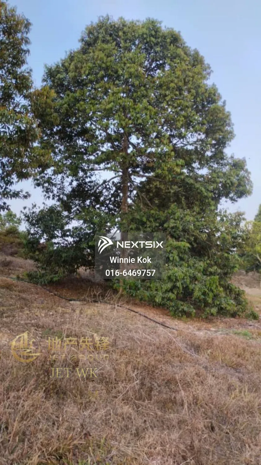 Agricultural Land For Sale in Simpang Pertang Negeri Sembilan - Image 7