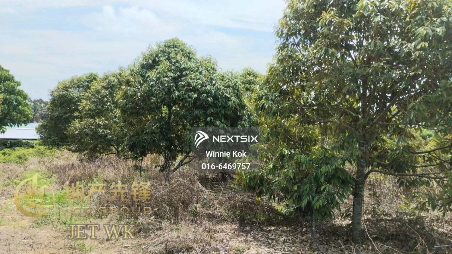 Agricultural Land For Sale in Simpang Pertang Negeri Sembilan - Image 8
