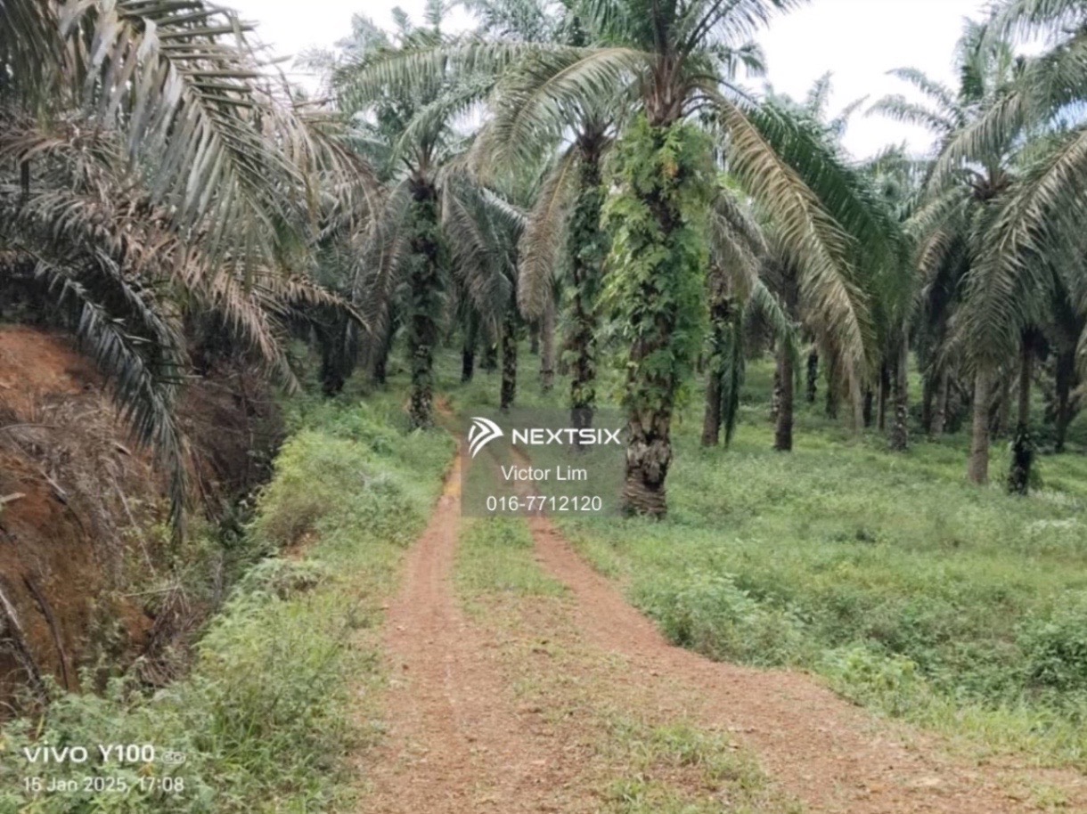 Agricultural Land For Sale in Kluang Johor